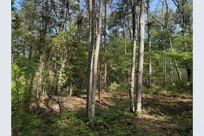 0 Clear Lake Drive, Adairsville, GA 30103 - Photo 24