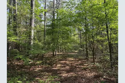 0 Clear Lake Drive, Adairsville, GA 30103 - Photo 24