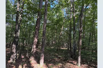 0 Clear Lake Drive, Adairsville, GA 30103 - Photo 4