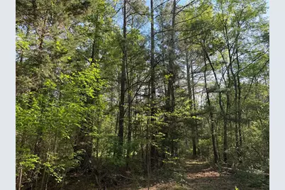 0 Clear Lake Drive, Adairsville, GA 30103 - Photo 36