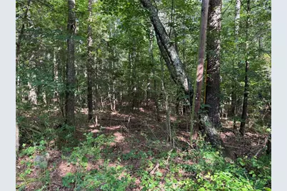 0 Clear Lake Drive, Adairsville, GA 30103 - Photo 22