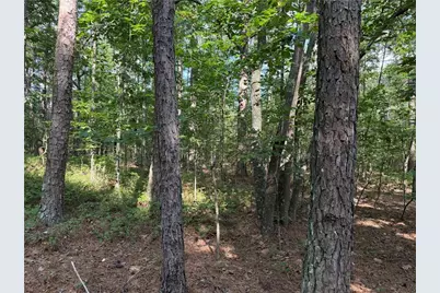 0 Clear Lake Drive, Adairsville, GA 30103 - Photo 14