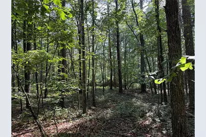 0 Clear Lake Drive, Adairsville, GA 30103 - Photo 12