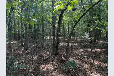 0 Clear Lake Drive, Adairsville, GA 30103 - Photo 8