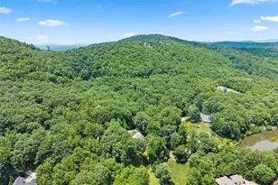 2200 Orchard Dr, Clarkesville, GA 30523 - Photo 94