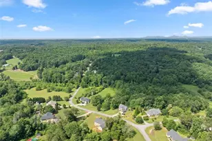 350 Linwood Dr, Demorest, GA 30535 - Photo 44