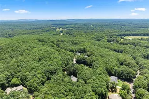 746 Plum Ln, Clarkesville, GA 30523 - Photo 54