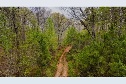 78 Acr Cross Plains Road, Carrollton, GA 30116 - Photo 10