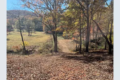00 Freeman View Trail, Cleveland, GA 30528 - Photo 16