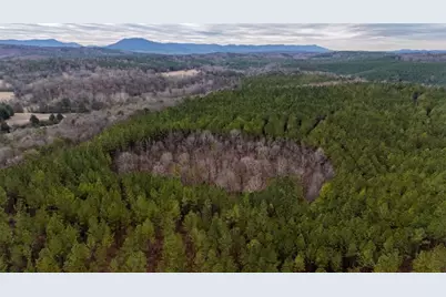 557 Acres On Taliaferro Springs Road, Lyerly, GA 30730 - Photo 12