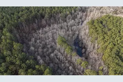 557 Acres On Taliaferro Springs Road, Lyerly, GA 30730 - Photo 6