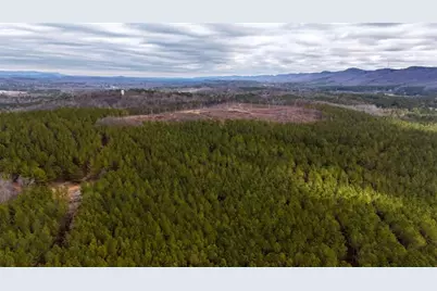 557 Acres On Taliaferro Springs Road, Lyerly, GA 30730 - Photo 14