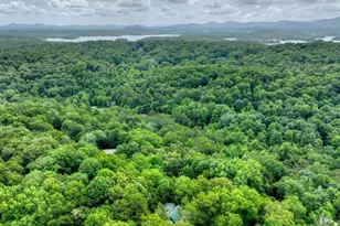 246 Uphill Rd, Blue Ridge, GA 30513 - Photo 10