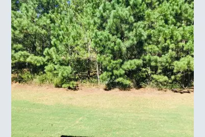 9517 Lakeview Road, Union City, GA 30291 - Photo 16