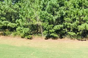 9517 Lakeview Rd, Union City, GA 30291 - Photo 16
