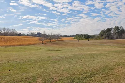 188 Gold Bullion Drive W, Dawsonville, GA 30534 - Photo 58