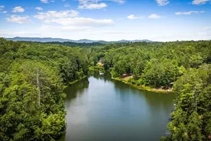 363 Pinnacle Dr, Ellijay, GA 30540 - Photo 10