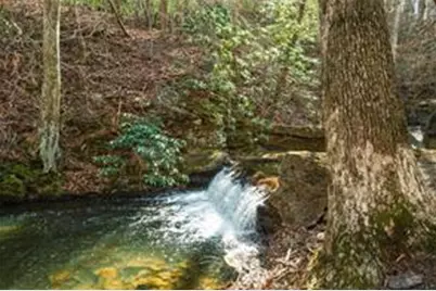 37 Petit Ridge Drive, Big Canoe, GA 30143 - Photo 22