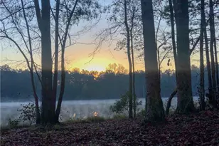 37 Farmstead Way, Senoia, GA 30276 - Photo 106