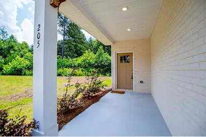 205 Vineyard Walk, Carrollton, GA 30117 - Photo 4