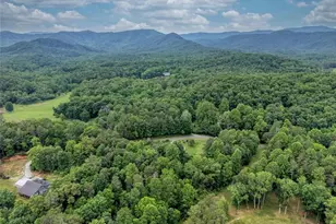 399 Pack Creek Rd, Blue Ridge, GA 30513 - Photo 50