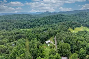 399 Pack Creek Rd, Blue Ridge, GA 30513 - Photo 46