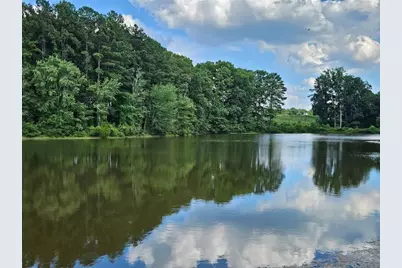 115 Pratt Drive, Covington, GA 30014 - Photo 36
