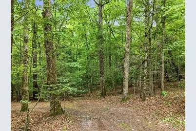 167 Mangums Trail, Blue Ridge, GA 30513 - Photo 52