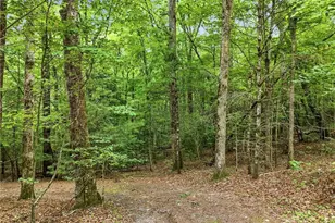 167 Mangum's Trail, Blue Ridge, GA 30513 - Photo 52