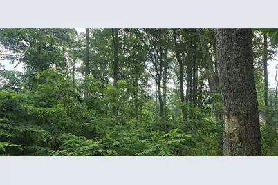 001 Windning Ridge, Blairsville, GA 30512 - Photo 2
