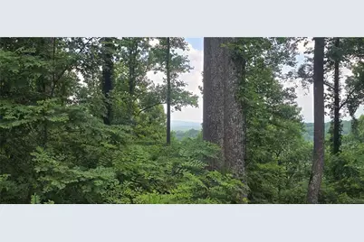 001 Windning Ridge, Blairsville, GA 30512 - Photo 1