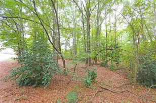 42 Dale St, Temple, GA 30179 - Photo 52