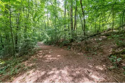 2411 Rackley Road, Ellijay, GA 30536 - Photo 26