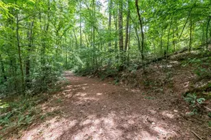 2411 Rackley Rd, Ellijay, GA 30536 - Photo 26