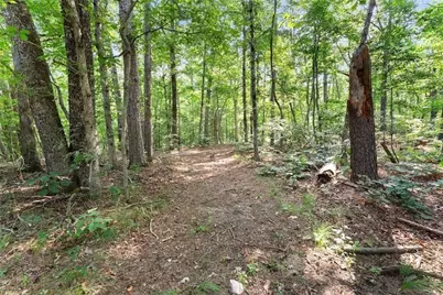 5314 H Thomas Road, Gainesville, GA 30506 - Photo 38