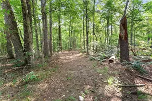 5314 H Thomas Rd, Gainesville, GA 30506 - Photo 38
