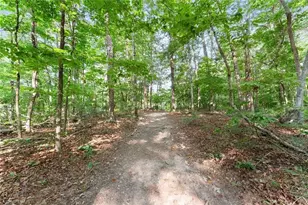5314 H Thomas Rd, Gainesville, GA 30506 - Photo 40