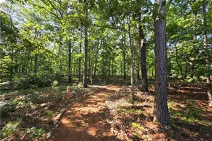 20 Blacksmith Ln NW, Cartersville, GA 30120 - Photo 56