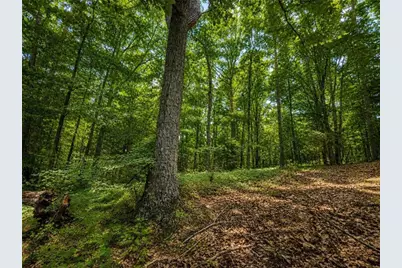 0 Gadsden Road, Cave Spring, GA 30124 - Photo 10