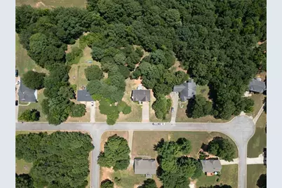 314 Black Willow Court, Locust Grove, GA 30248 - Photo 4