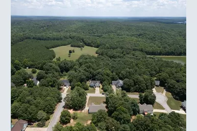 314 Black Willow Court, Locust Grove, GA 30248 - Photo 6