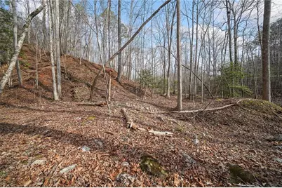 50 Old Stamp Mill Road, Dahlonega, GA 30533 - Photo 14