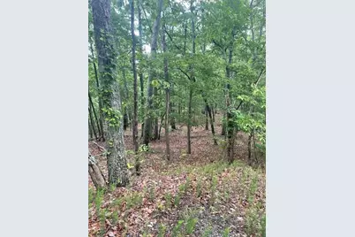 356 Orieole Court, Ranger, GA 30734 - Photo 16