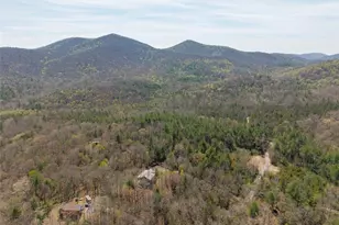 156 Peter Knob Rd, Blue Ridge, GA 30513 - Photo 32
