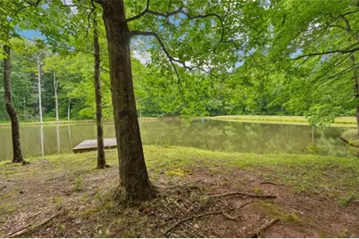 164 Vaughn Road, Newnan, GA 30265 - Photo 58