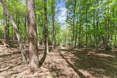45 Holcomb Drive, Cleveland, GA 30528 - Photo 134