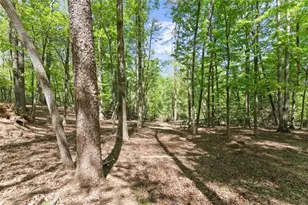 45 Holcomb Dr, Cleveland, GA 30528 - Photo 66