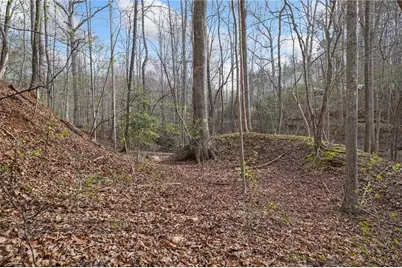 49 Old Stamp Mill Road, Dahlonega, GA 30533 - Photo 8