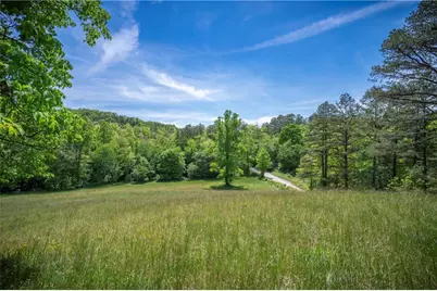 Lt2-2A Jonica Gap Road, Mineral Bluff, GA 30559 - Photo 6