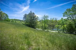 Lt2-2A Jonica Gap Rd, Mineral Bluff, GA 30559 - Photo 1